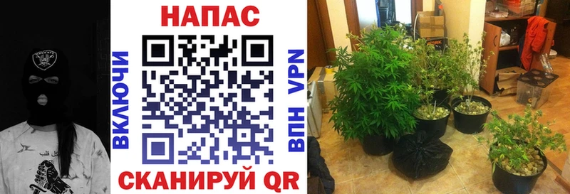 Купить наркотик Набережные Челны Бошки Шишки Кокаин Мефедрон