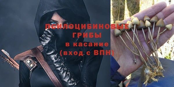 ПСИЛОЦИБИНОВЫЕ ГРИБЫ Алзамай